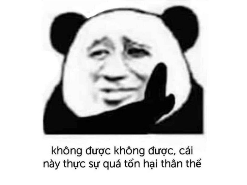 Meme gấu trúc từ chối hài hước