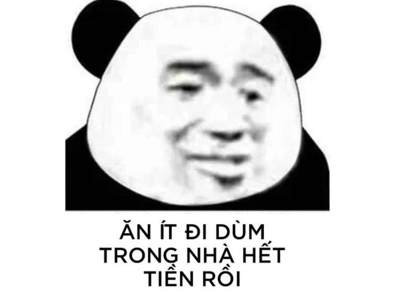 Meme gấu trúc hết tiền buồn thiu