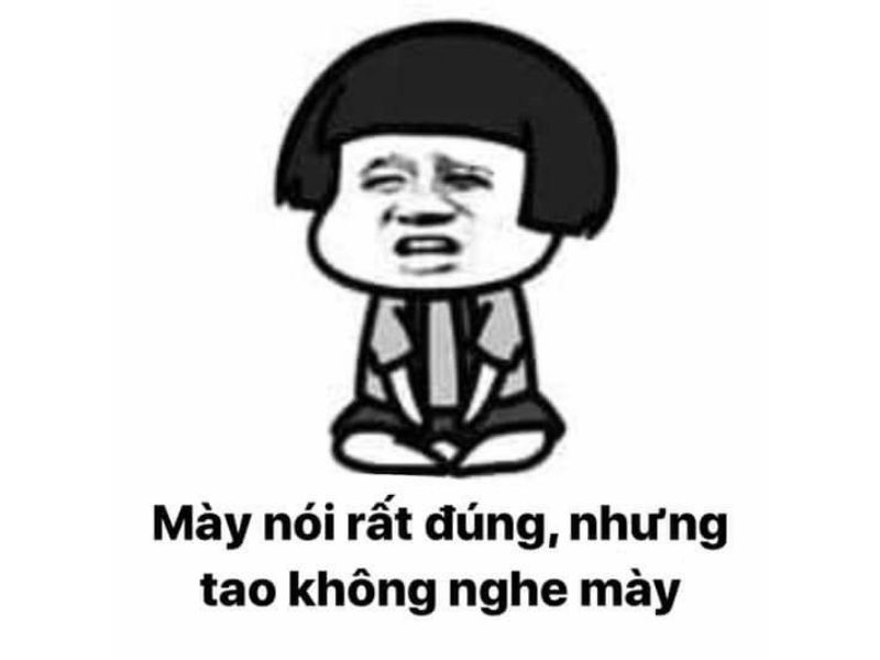 Meme gấu trúc ngoan cố