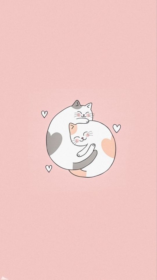 Hình nền hai chú mèo ôm nhau 