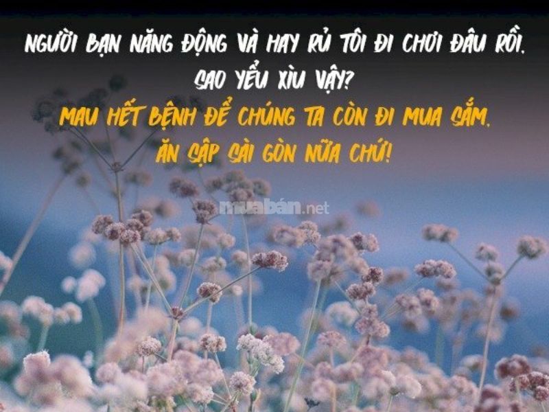 Lời khuyên chúc sức khoẻ khiến bạn khoẻ mạnh trong cuộc sống