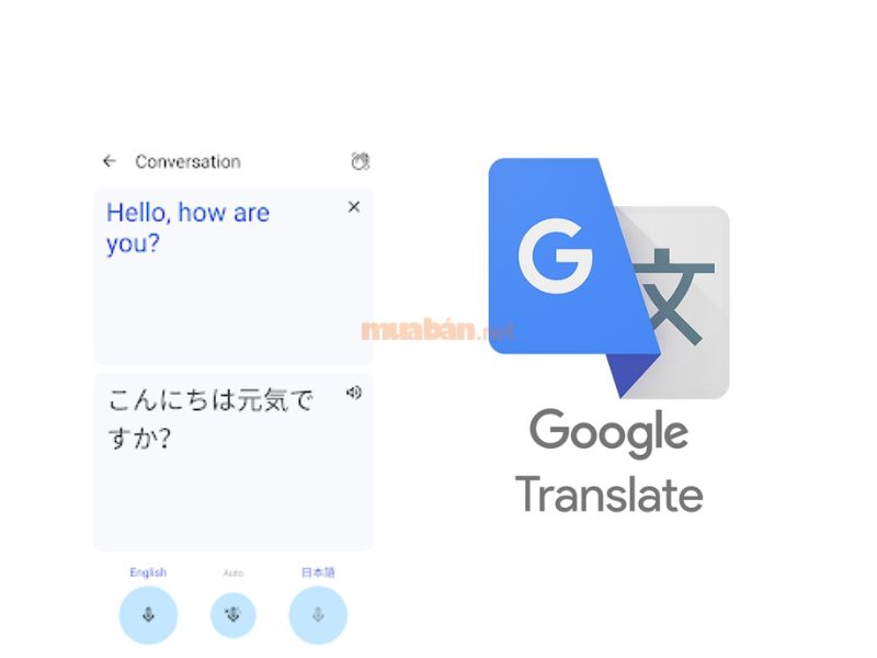Google Translate phổ biến với khả năng dịch đa dạng ngôn ngữ