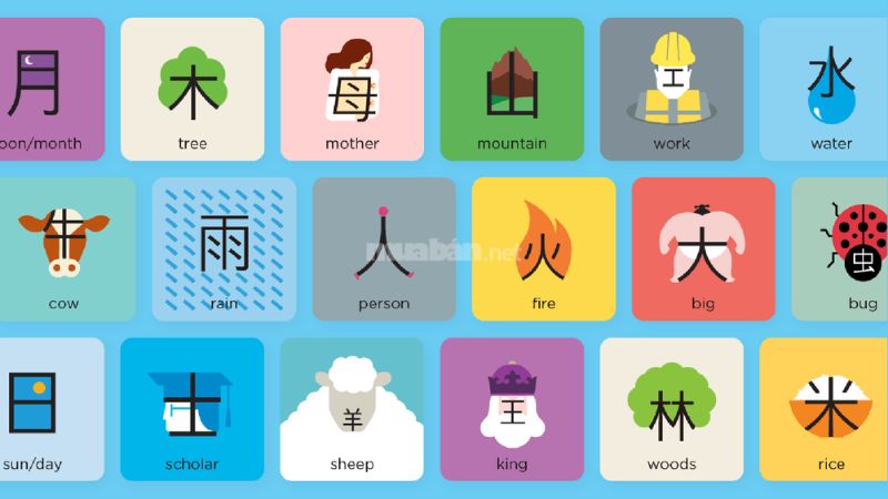App Chineasy giúp bạn dễ dàng luyện tiếng Trung mọi lúc mọi nơi