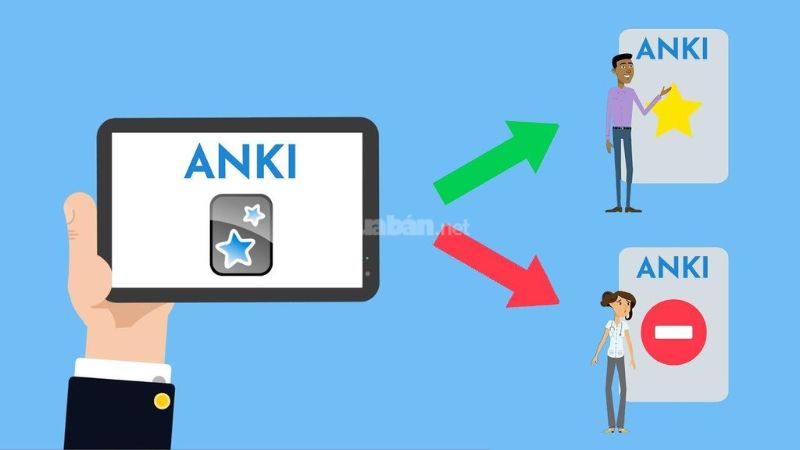 Người dùng thường lựa chọn Anki để học nhanh từ vựng