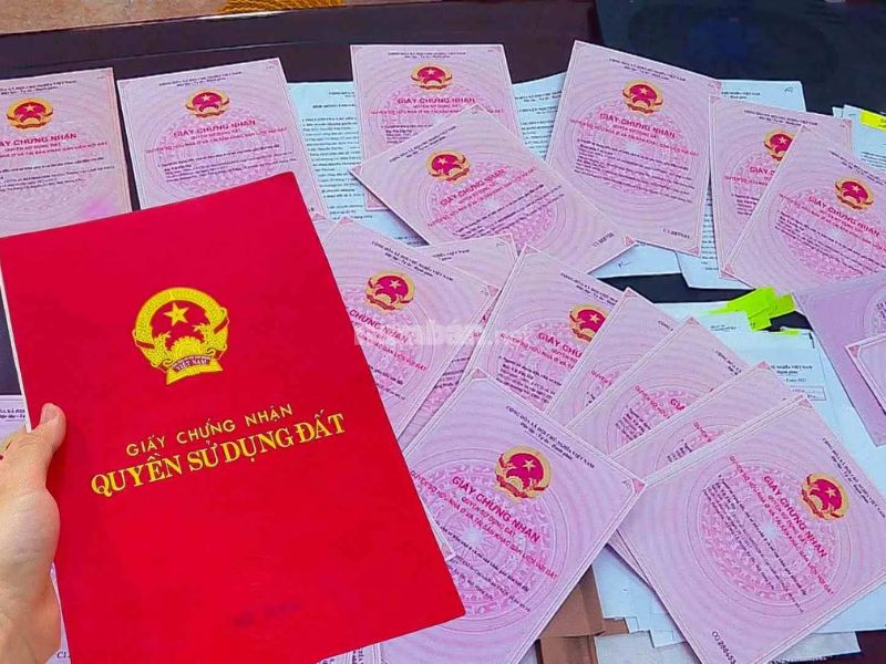 Xác thực thông tin pháp lý rõ ràng