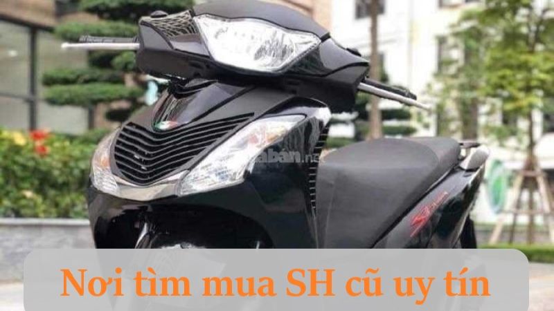 Mua xe SH cũ tại Muaban.net, trang web uy tín, chất lượng