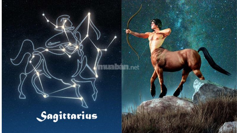 Cung Nhân Mã (23/11 - 21/12) có tên tiếng Anh là Sagittarius