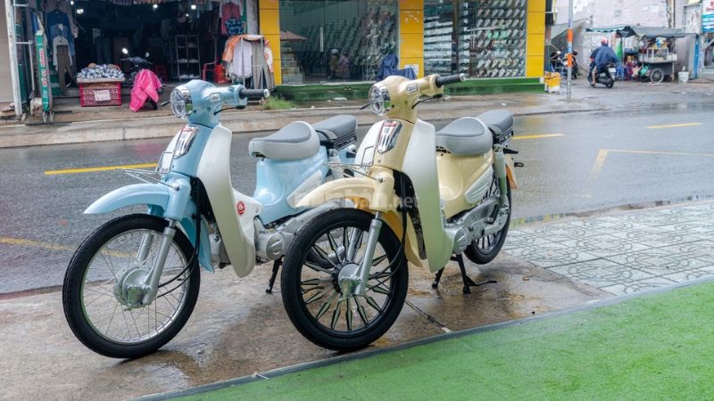 Mẫu xe cub 50 độ đơn giản 