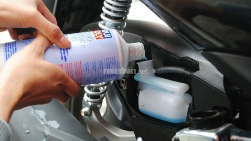 Nước mát xe Liqui Moly xanh pha 1:1