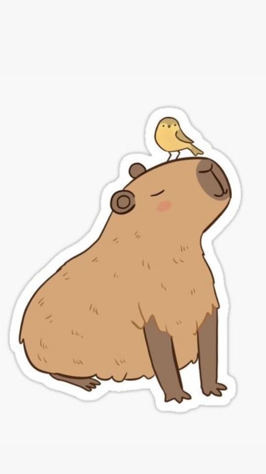 Capybara chơi đùa cùng chú chim sẻ 