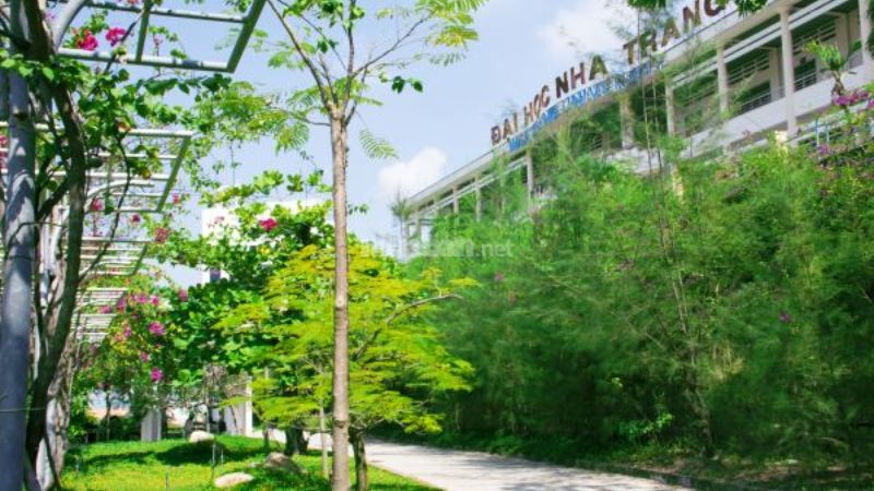 Khuôn viên đại học Nha Trang xanh mát