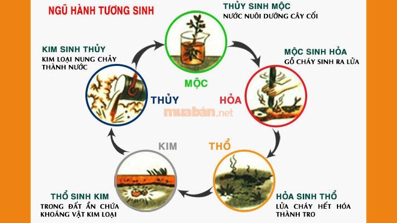 Nên tham khảo ngũ hành tương sinh để biết tuổi Nhâm Thân 1992 hợp với xe màu gì