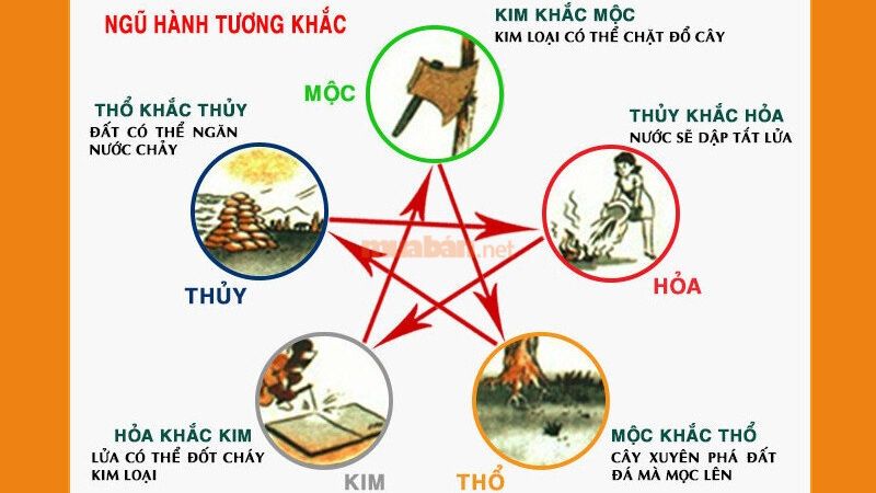 Ngoài tìm hiểu tuổi Nhâm Thân 1992 hợp với xe màu gì thì cần biết màu nào nên tránh qua ngũ hành tương khắc