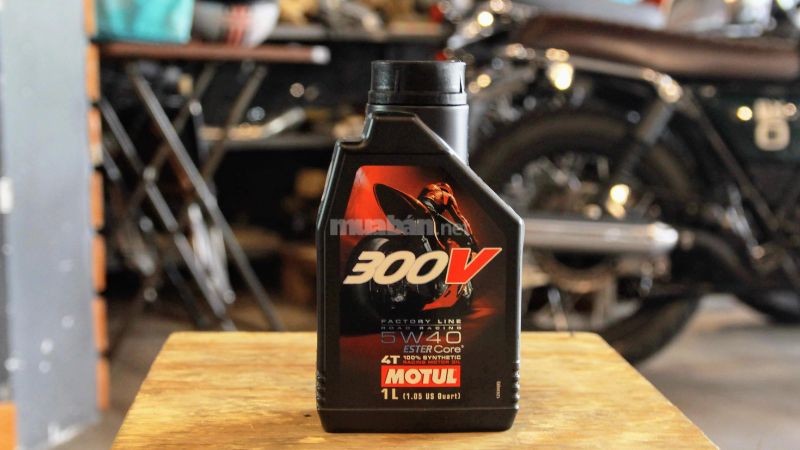 Tham khảo sản phẩm nhớt Motul 300V 10W40 Factory Line - Nguồn: Internet