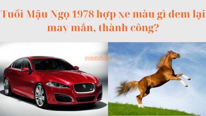 Tuổi Mậu Ngọ 1978 hợp xe màu gì đem lại may mắn, thành công?