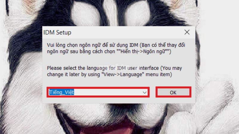Lựa chọn ngôn ngữ sử dụng cho IDM