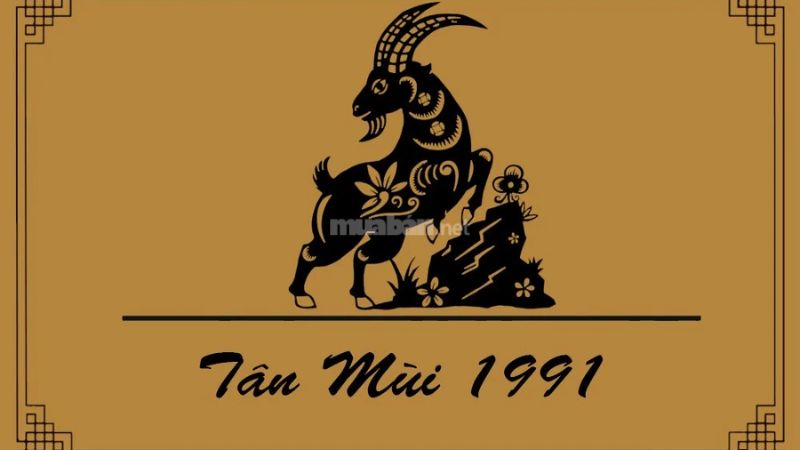 Tổng quan tuổi Tân Mùi năm 1991 - Tuổi Tân Mùi 1991 hợp xe màu gì?