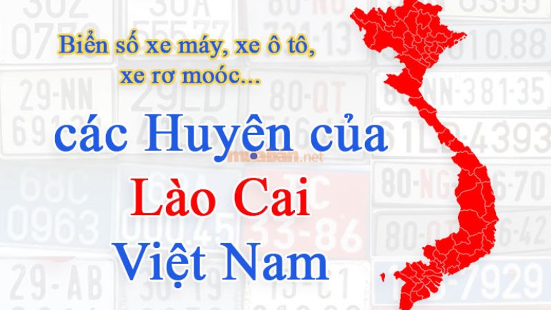 Biển số xe Lào Cai chi tiết theo từng huyện