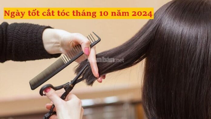 Ngày tốt cắt tóc tháng 10 năm 2024