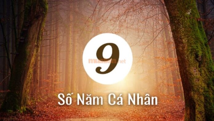 Năm cá nhân số 9