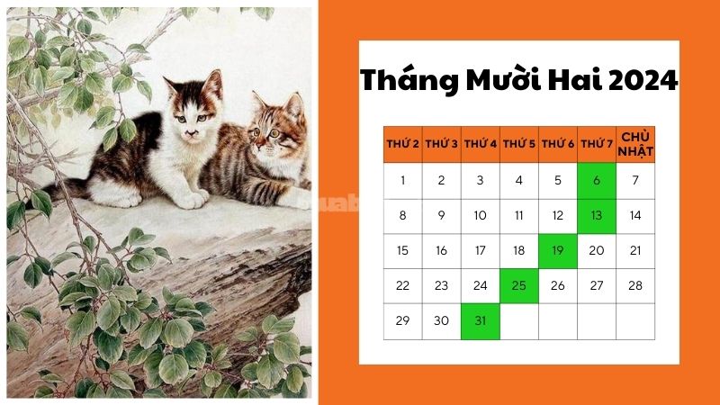 Ngày tốt mua xe tháng 12 năm 2024 cho tuổi Mẹo