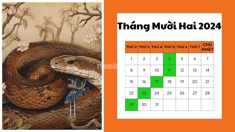 Ngày tốt mua xe tháng 12 năm 2024 cho tuổi Tỵ