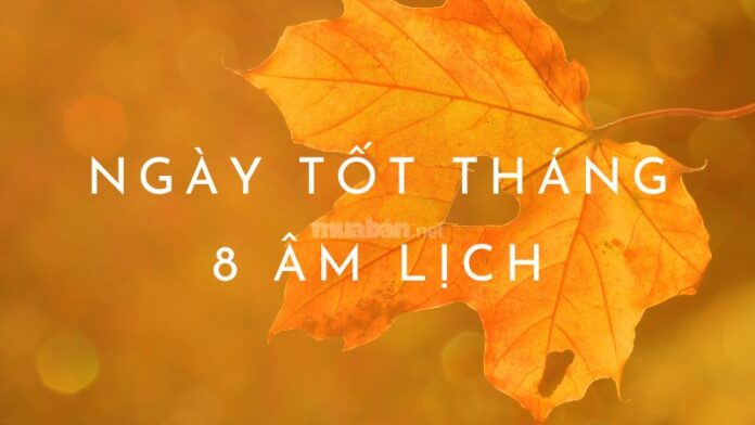 Ngày tốt tháng 8 âm lịch