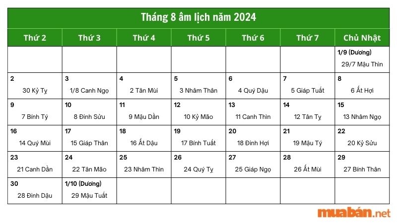 Tháng 8 âm lịch năm 2024 bắt đầu từ ngày 01/08 - 30/08/2024 âm lịch, tức ngày 03/09 - 01/10/2024 dương lịch