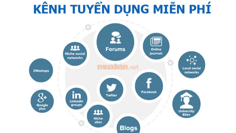 Tham khảo những kênh tuyển dụng hiệu quả