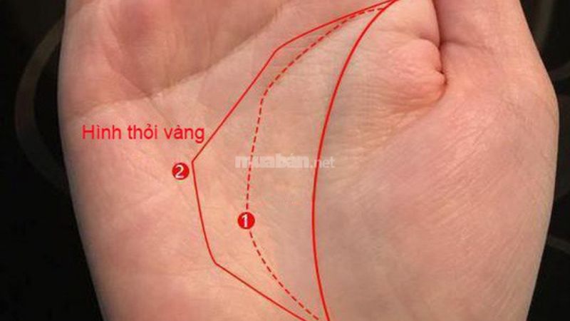 6 đường chỉ tay may mắn đến tài lộc, phú quý