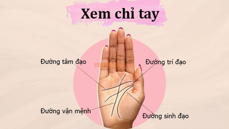 Ý nghĩa của các đường chỉ tay