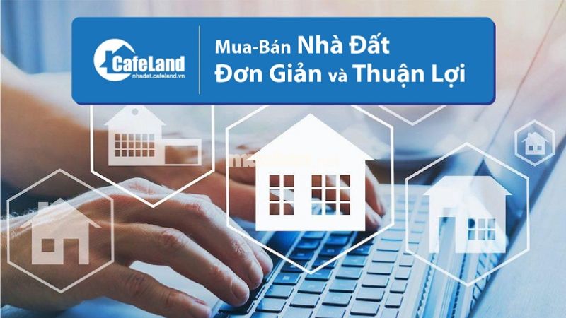 Mặc dù giao diện chưa được đẹp mắt nhưng website này có nhiều nội dung chính xác