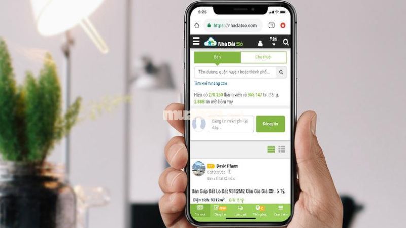 Website Nhadatso.com cũng là điểm đến đáng tin cậy