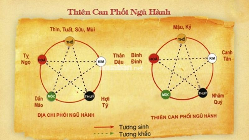 Tử vi Ất Sửu 1985 nữ mạng xét theo thiên can ngũ hành