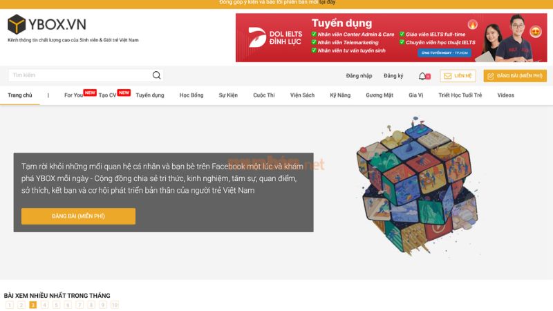 Ybox là nền tảng tuyển dụng dành cho sinh viên và những người mới đi làm