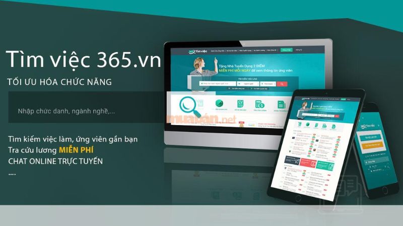 Tim Viec 365 tổng hợp việc làm đa lĩnh vực, ngành nghề