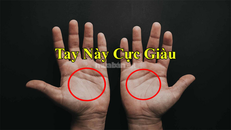 Đường chỉ tay là gì?