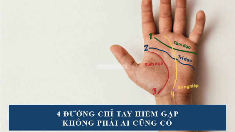 4 đường chỉ tay hiếm gặp