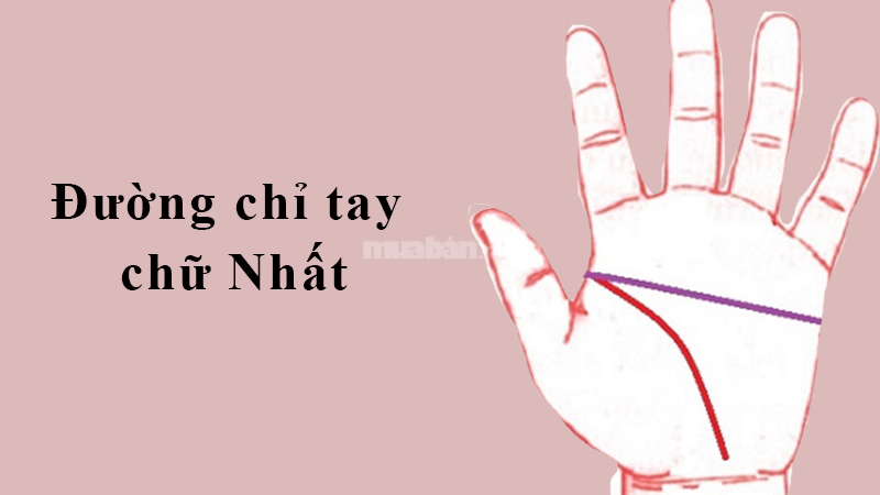 Đường chỉ tay chữ Nhất mang lại may mắn