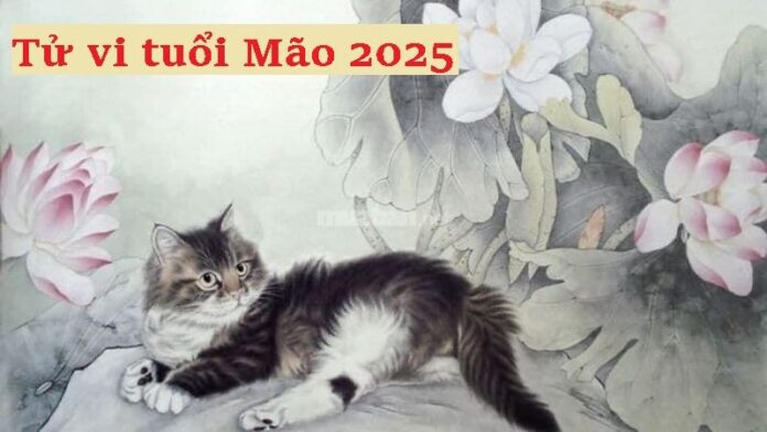 Tử vi tuổi Mão 2025