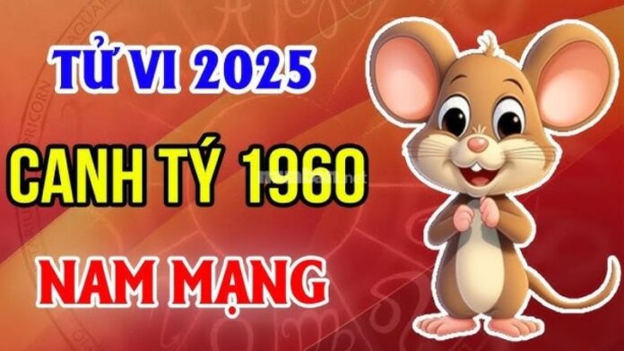 Luận giải tử vi tuổi Canh Tý 1960 nam mạng 2025 chi tiết