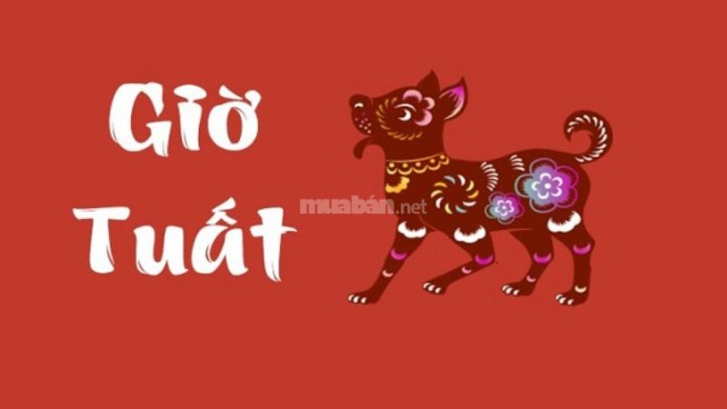 Giờ Tuất (19h – 21h)