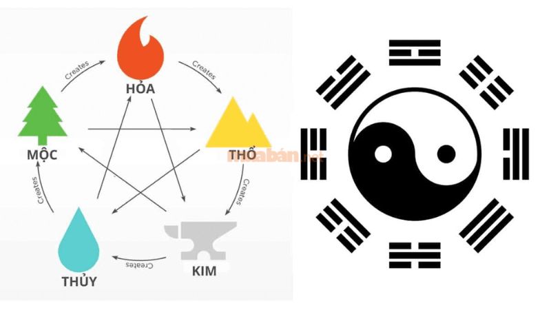 Tử vi Quý Sửu 1973 nam mạng xét theo thiên can ngũ hành