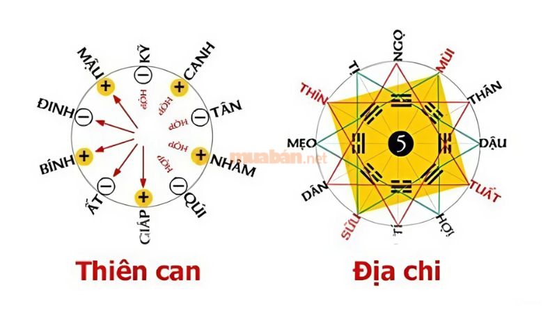 Tử vi Quý Sửu 1973 nam mạng xét theo thiên can ngũ hành