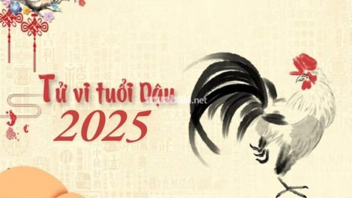 Tử Vi Tuổi Dậu 2025