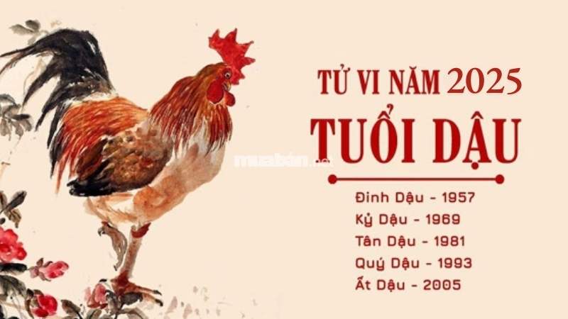 Tử vi tuổi Dậu theo từng tuổi nạp âm