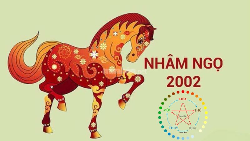 Tử vi Nhâm Ngọ 2002 nam mạng xét theo ngũ hành