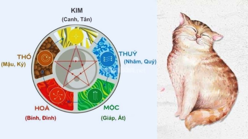 Tử vi Quý Mão 1963 nam mạng 2025 xét theo thiên can ngũ hành