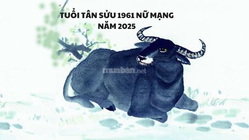 Luận giải chi tiết về tử vi tuổi Tân Sửu 1961 nữ mạng năm 2025c