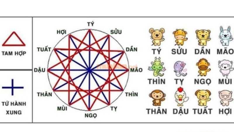 Tử vi tuổi Tân Sửu 1961 nữ mạng xét theo địa chi